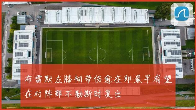 布雷默左膝韧带伤愈在即最早有望在对阵那不勒斯时复出