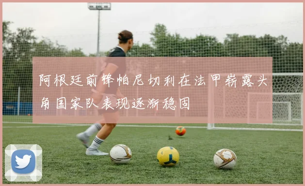 阿根廷前锋帕尼切利在法甲崭露头角国家队表现逐渐稳固